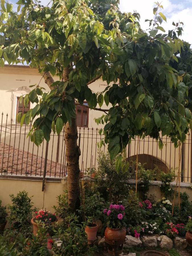 B&B Bone Novelle Dimora Storica Palazzo Zuzi LʼAquila Exteriör bild